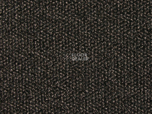 Грязезащитные покрытия Vebe Alba Pc Alba pvc 50 фото 1 | FLOORDEALER